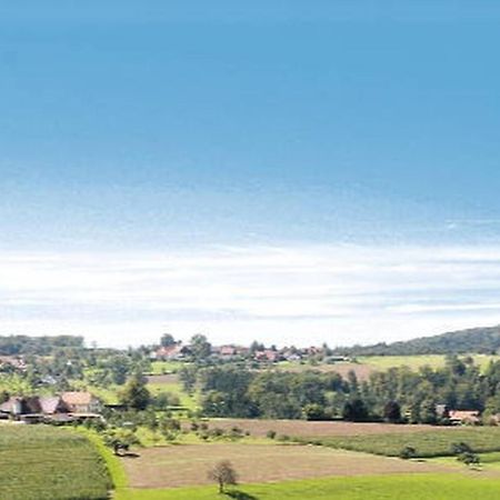 Gasthaus Pension Heidhof Freiamt ภายนอก รูปภาพ
